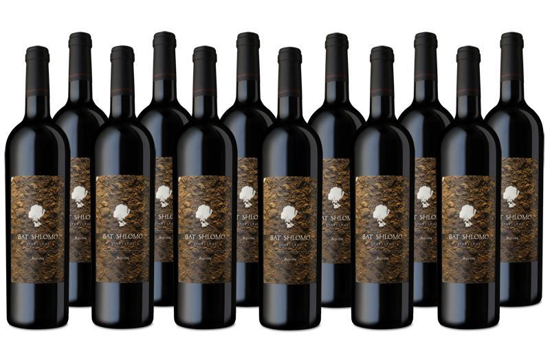 Bat Shlomo Regavim Vineyards 2019: case of 12 bottles